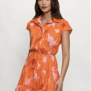 Hutch Bishop Dress